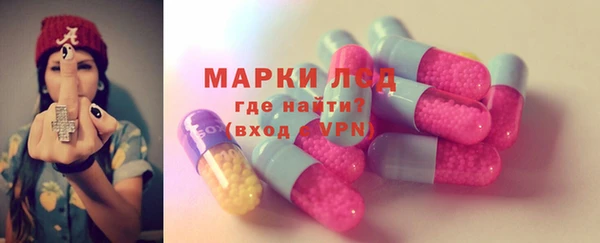 ГАЛЛЮЦИНОГЕННЫЕ ГРИБЫ Сосновка