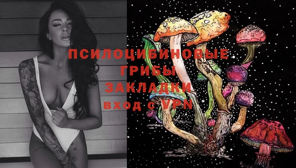 амф Аркадак