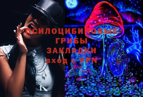 мет Арсеньев