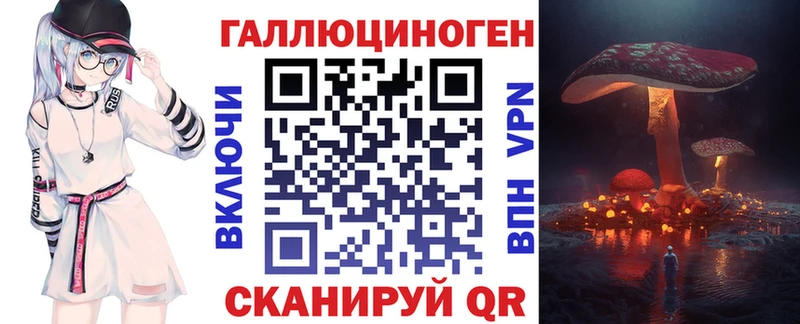 Галлюциногенные грибы Psilocybine cubensis где можно купить наркотик OMG зеркало Ядрин